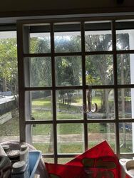 Blk 126 Simei Street 1 (Tampines), HDB 5 Rooms #458401391